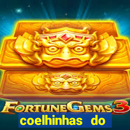 coelhinhas do brasil recife